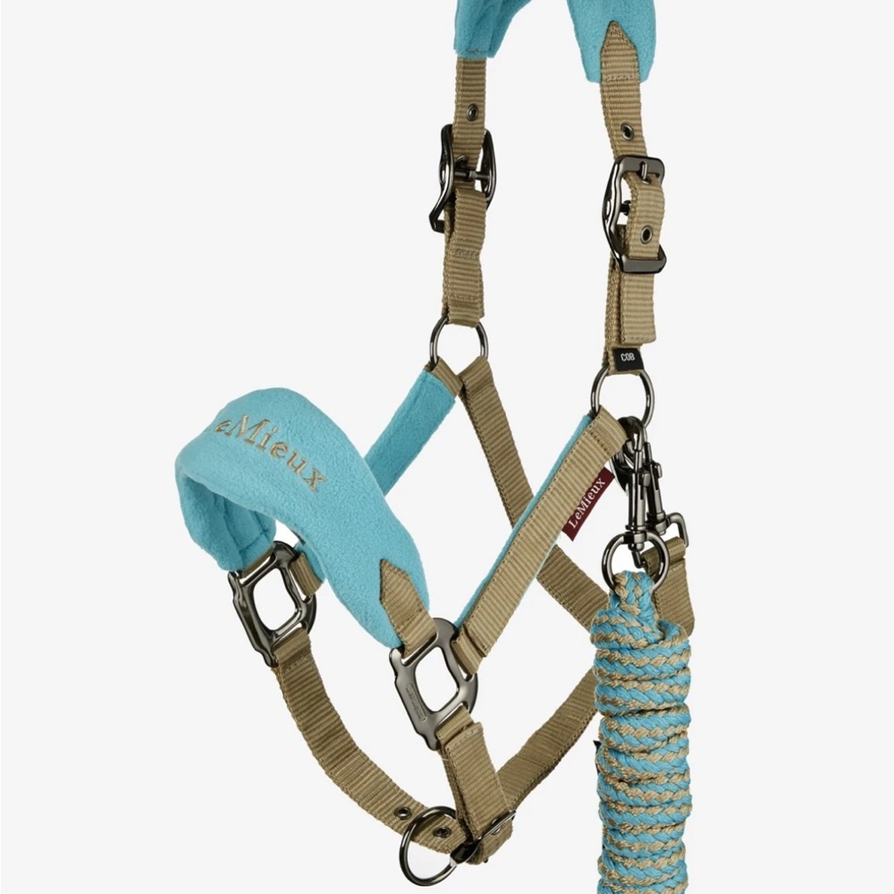 Lemieux vogue head collar in azure size XL